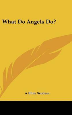 What Do Angels Do? image