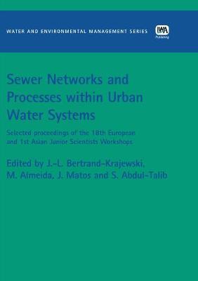 Sewer Networks and Processes within Urban Water Systems image