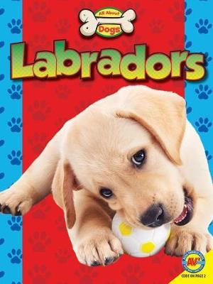 Labradors on Hardback by Susan H Gray