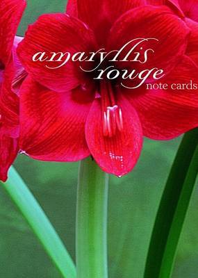 Amaryllis Rouge Note Cards by Starr Ockenga image