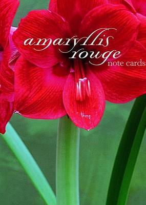 Amaryllis Rouge Note Cards image