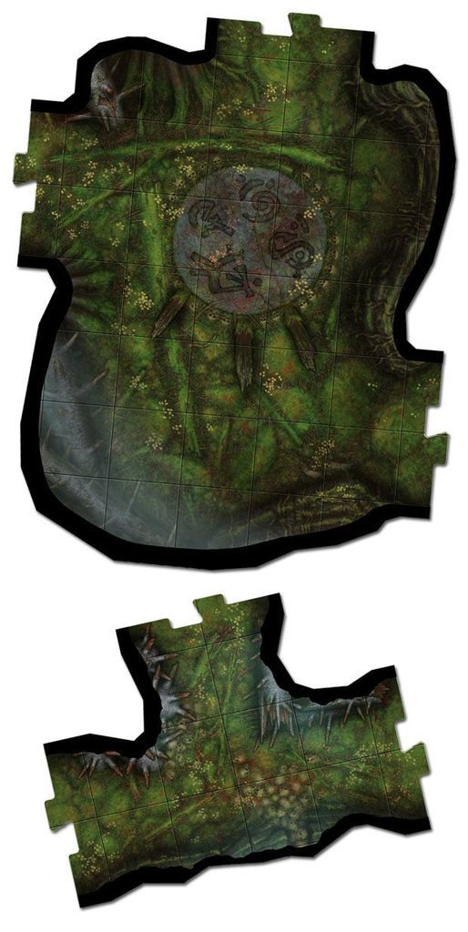 Shadows of Brimstone: Forbidden Fortress main image 1