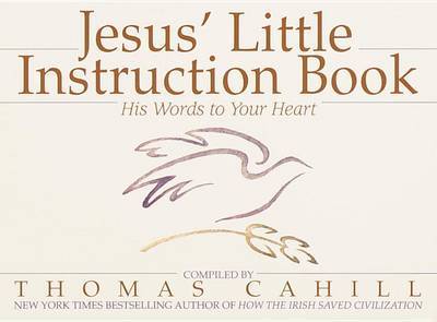 Jesus' Little Instruction Book by Thomas Cahill image