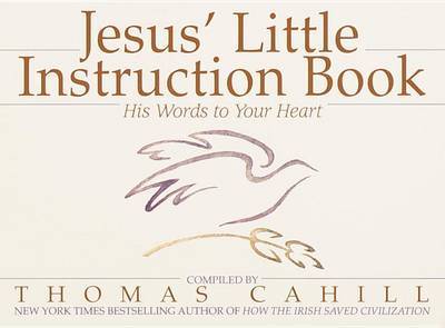 Jesus' Little Instruction Book image