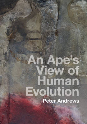 An Ape's View of Human Evolution by Peter Andrews image