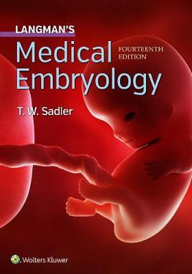 Langman's Medical Embryology by T W Sadler image