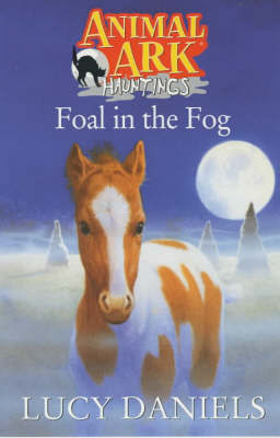 Foal In The Fog image