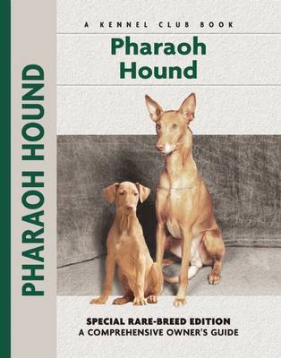 Pharoah Hound on Hardback by Juliette Cunliffe