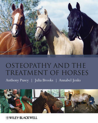 Osteopathy and the Treatment of Horses by Anthony Pusey image