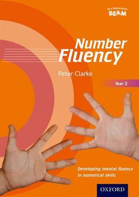 Number Fluency Year 2 Developing mental fluency in numerical skills image