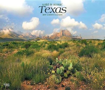 Texas Wild & Scenic 2019 Deluxe by Inc Browntrout Publishers image