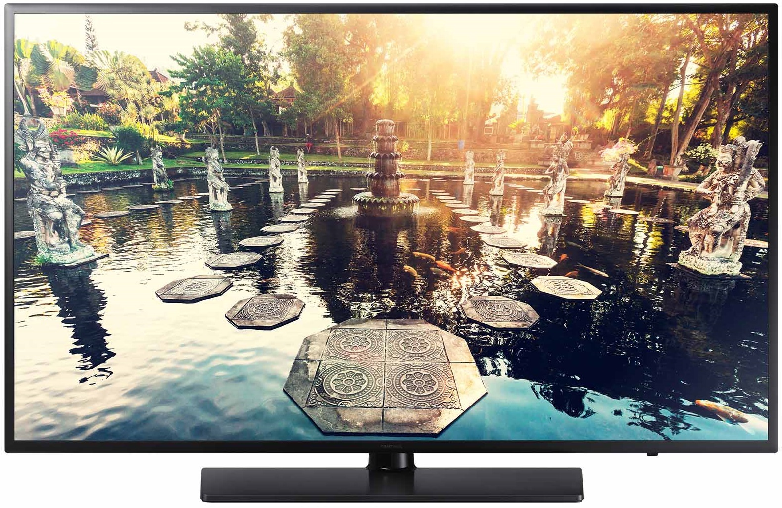 49" Samsung HE690 Hospitality Display image
