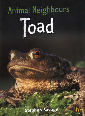 Animal Neighbours: Toad on Hardback by Stephen Savage