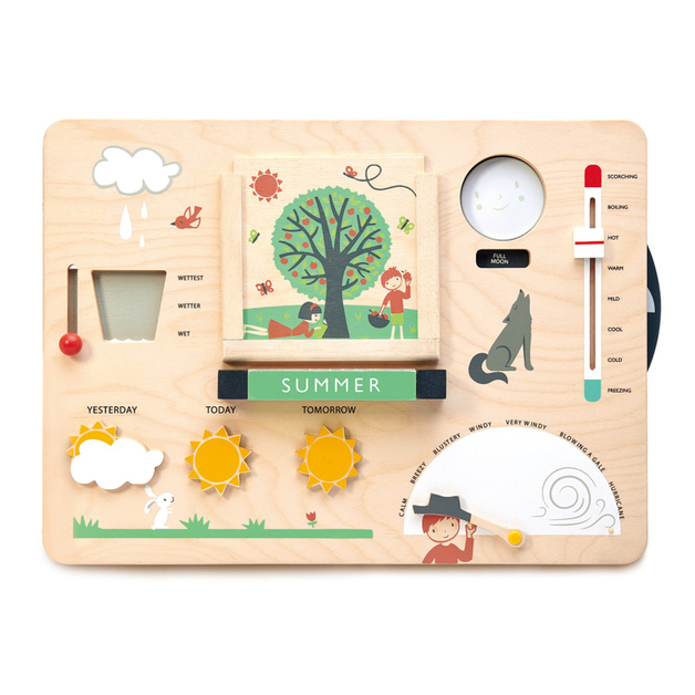weather station toy
