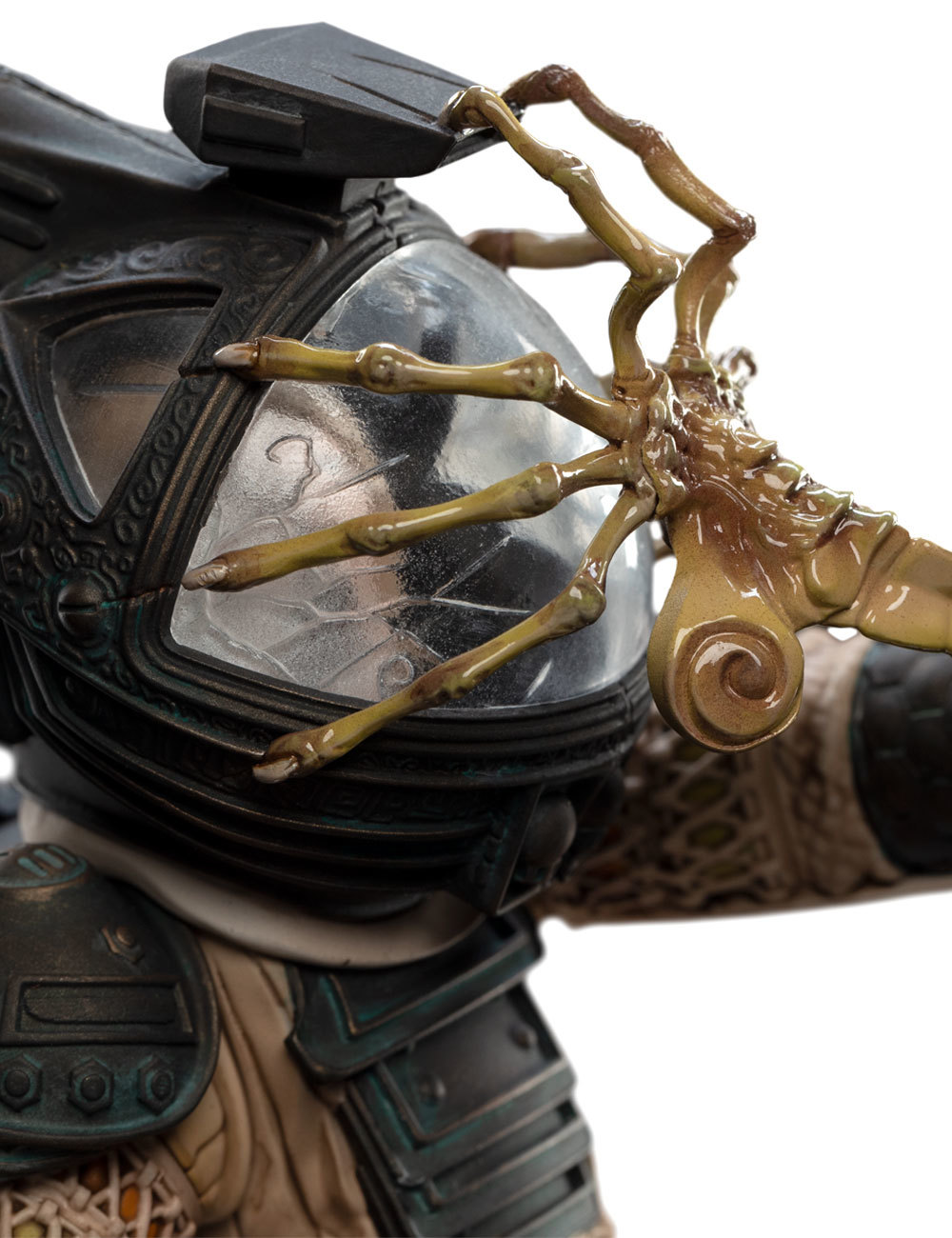 Alien Facehugger at Mighty Ape Australia