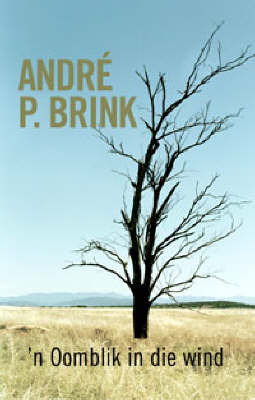 'N Oomblik in Die Wind by Andre P. Brink image