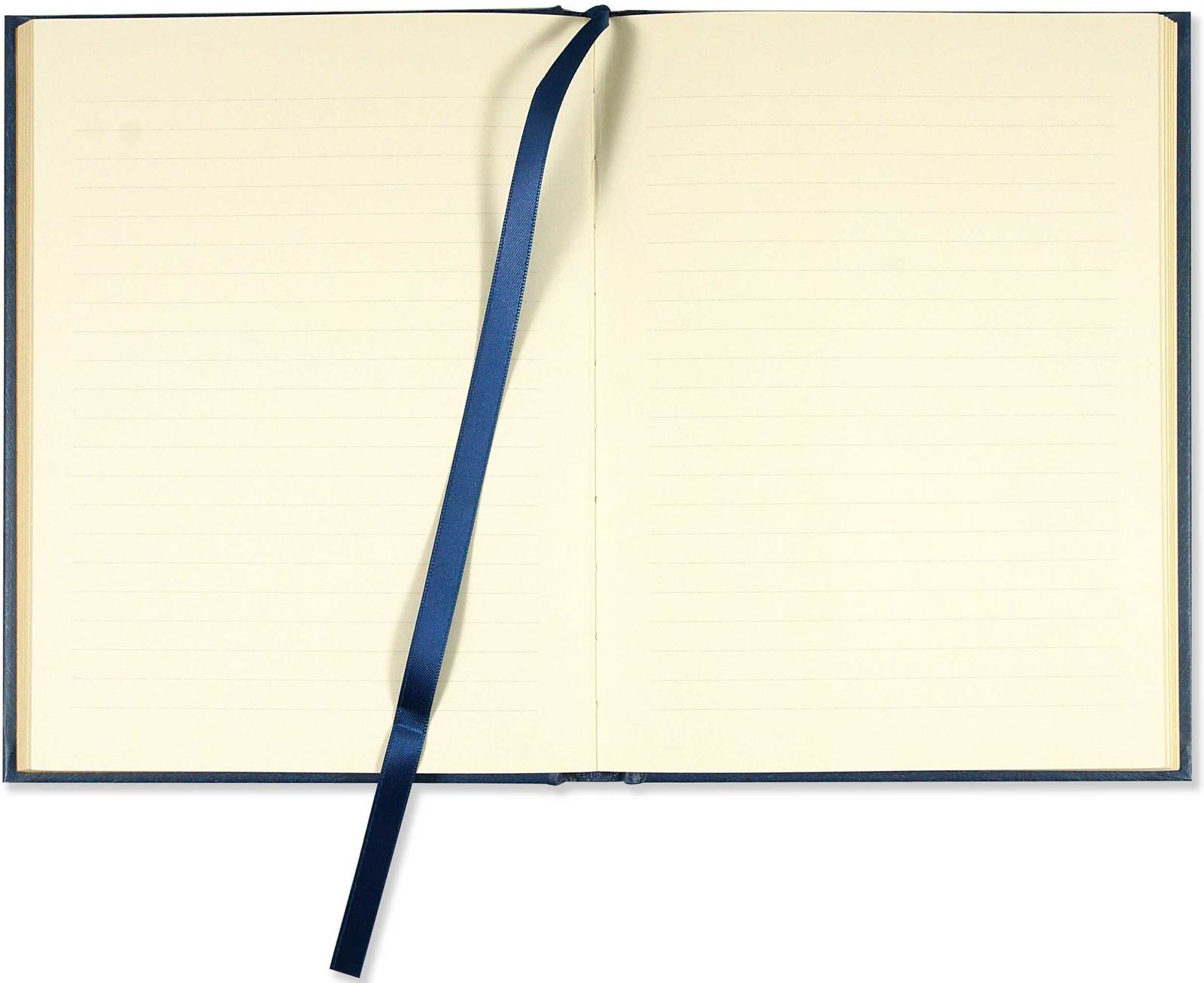 Celestial Journal (Large) image