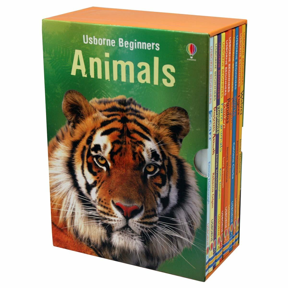 Usborne Beginners Animals Boxset Buy Now at Mighty Ape NZ