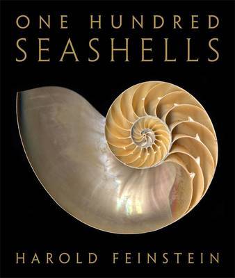 One Hundred Seashells by Harold Feinstein image
