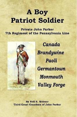 A Boy Patriot Soldier by Neil E. Webner image