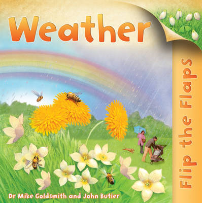 Flip the Flaps: Weather on Hardback by Mike Goldsmith