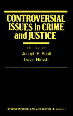 Controversial Issues in Crime and Justice image