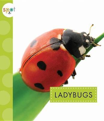Ladybugs by Nessa Black image