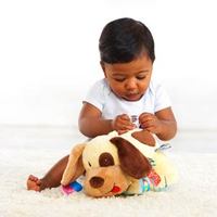 taggies for dogs