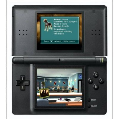 Real Adventures: Pet Vet for DS image