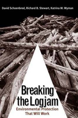 Breaking the Logjam by David Schoenbrod image