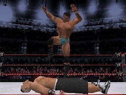 WWE Smackdown! vs. RAW 2008 on DS