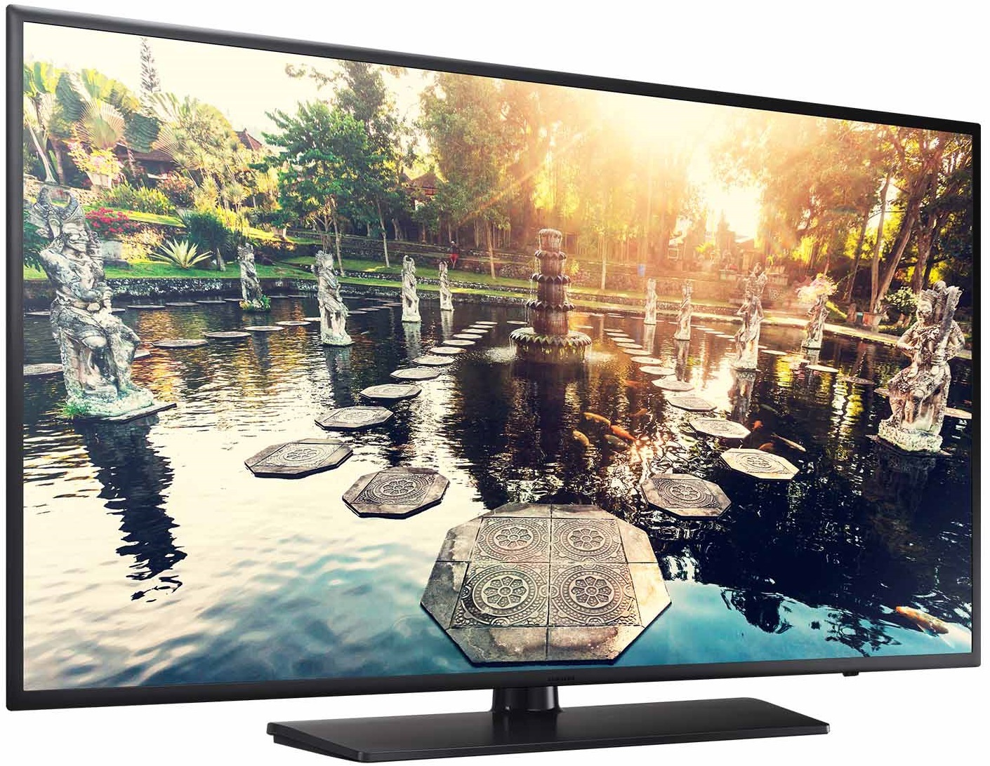 55" Samsung HE690 Hospitality Display image