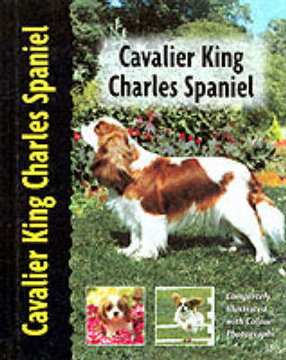 Cavalier King Charles Spaniel by Juliette Cunliffe image