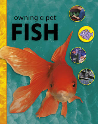 Owning A Pet: Fish image