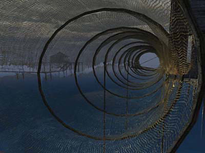 Sentinel: Descendants in Time for PC Games image