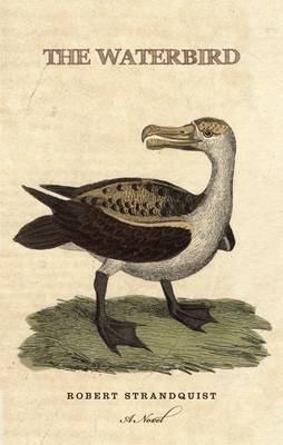 The Waterbird by Robert Strandquist image