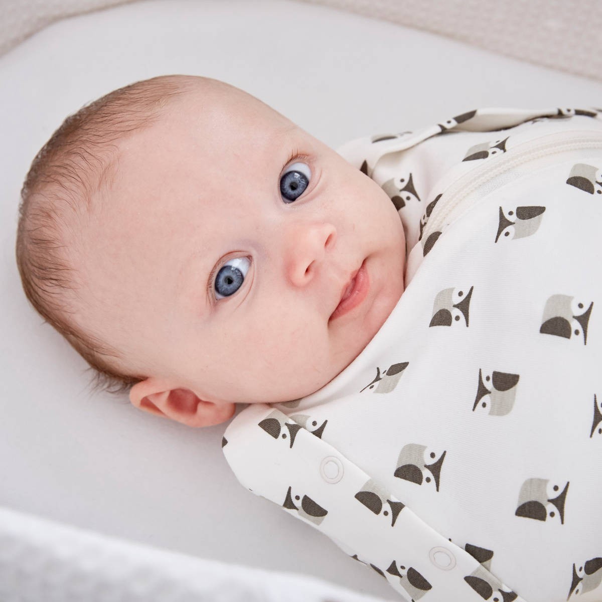 grobag swaddle newborn plus