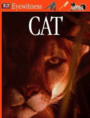 Cat image