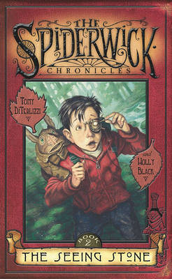 Seeing Stone on Hardback by Diterlizzi