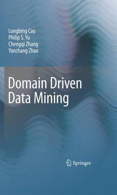 Domain Driven Data Mining image