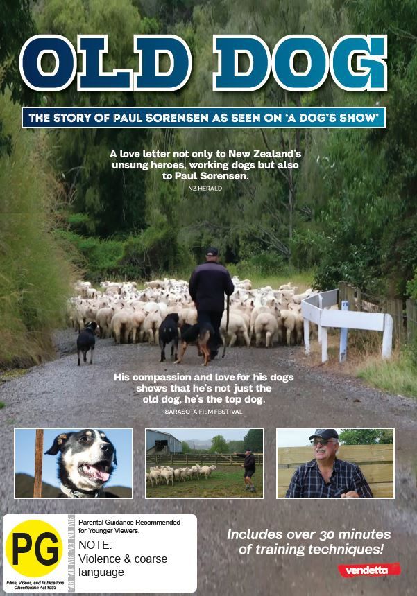 Old Dog on DVD image
