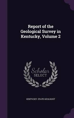 Report of the Geological Survey in Kentucky, Volume 2 image