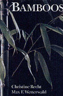 Bamboos image