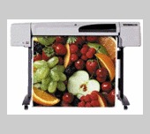 Hewlett-Packard HP Designjet 500PS printer 42" **** Bulk Freight **** Hewlett-Packard HP Designjet 500PS printer 42" **** Bulk Freight ****