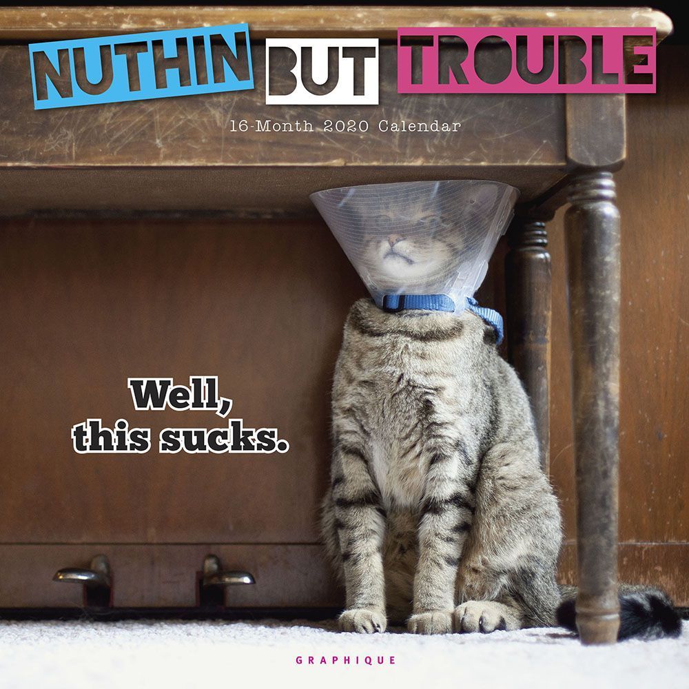 Nuthin' But Trouble 2020 Square Wall Calendar image