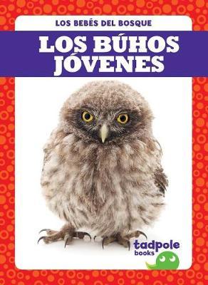 Los Buhos Jovenes (Owlets) by Genevieve Nilsen image
