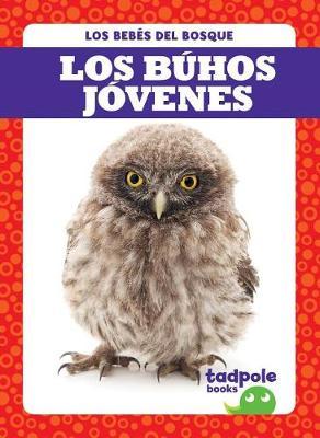 Los Buhos Jovenes (Owlets) on Hardback by Genevieve Nilsen