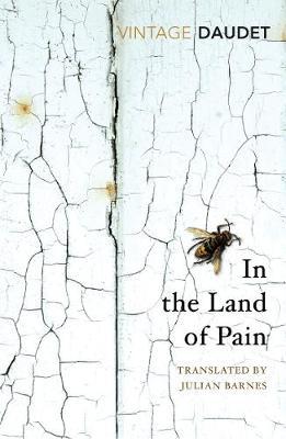 In the Land of Pain by Alphonse Daudet image