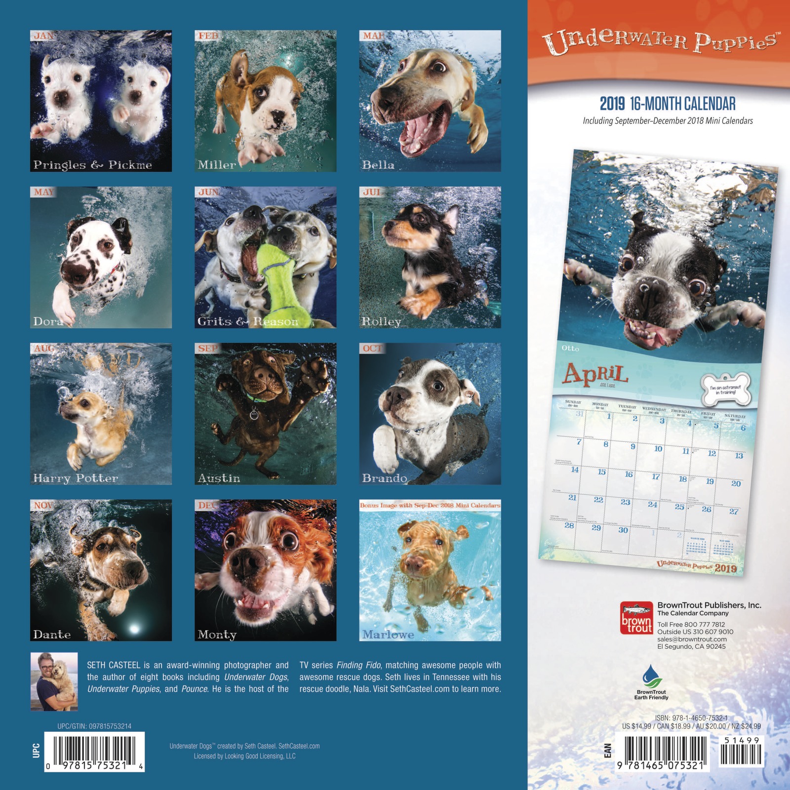 Underwater Puppies 2019 Square Wall Calendar by Inc Browntrout Publishers image