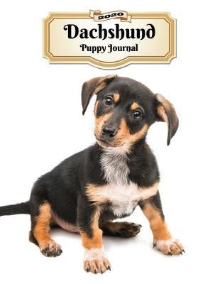2020 Dachshund Puppy Journal by Notebooks Journals Xlpress image